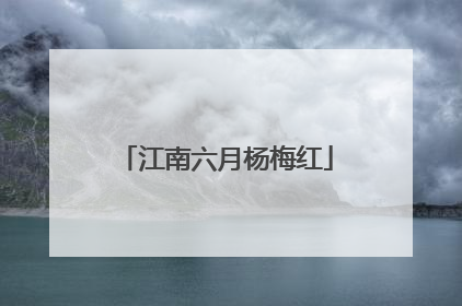 江南六月杨梅红
