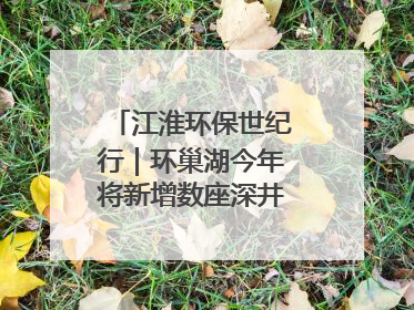 江淮环保世纪行｜环巢湖今年将新增数座深井控藻平台
