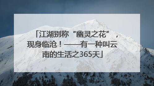 江湖别称“幽灵之花”，现身临沧！——有一种叫云南的生活之365天