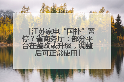 江苏家电“国补”暂停？省商务厅：部分平台在整改或升级，调整后可正常使用