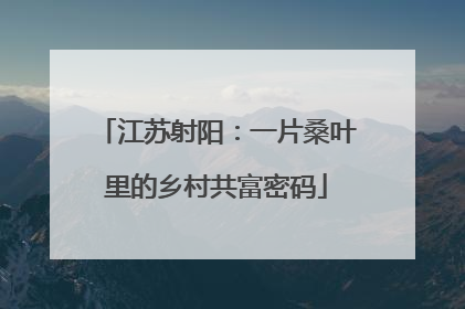 江苏射阳：一片桑叶里的乡村共富密码