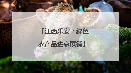 江西乐安：绿色农产品进京展销