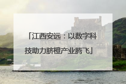 江西安远：以数字科技助力脐橙产业腾飞