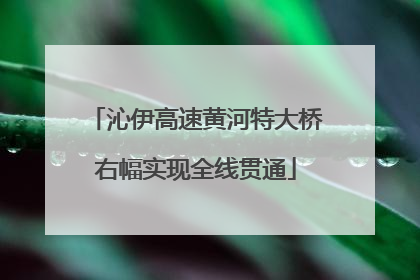 沁伊高速黄河特大桥右幅实现全线贯通