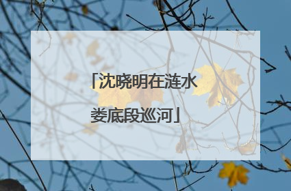 沈晓明在涟水娄底段巡河