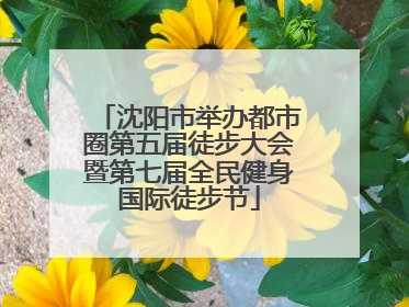 沈阳市举办都市圈第五届徒步大会暨第七届全民健身国际徒步节