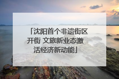 沈阳首个非遗街区开街 文旅新业态激活经济新动能