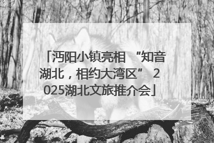 沔阳小镇亮相 “知音湖北，相约大湾区” 2025湖北文旅推介会