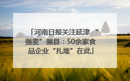 河南日报关注延津 “强麦”强县：50余家食品企业“扎堆”在此