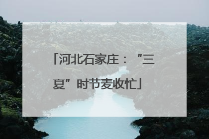 河北石家庄：“三夏”时节麦收忙