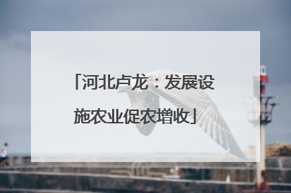 河北卢龙：发展设施农业促农增收
