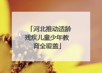 河北推动适龄残疾儿童少年教育全覆盖