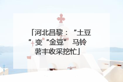 河北昌黎：“土豆”变“金豆” 马铃薯丰收采挖忙