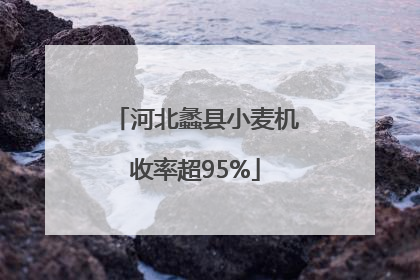 河北蠡县小麦机收率超95%