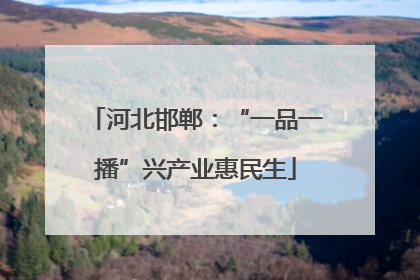 河北邯郸：“一品一播”兴产业惠民生