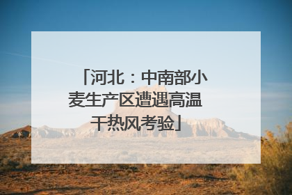 河北：中南部小麦生产区遭遇高温干热风考验