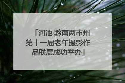 河池·黔南两市州第十一届老年摄影作品联展成功举办