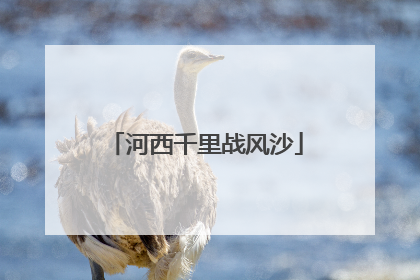 河西千里战风沙