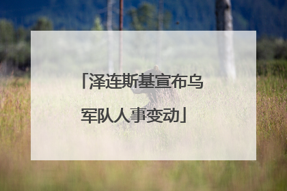 泽连斯基宣布乌军队人事变动