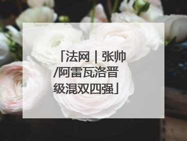 法网｜张帅/阿雷瓦洛晋级混双四强