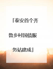泰安首个齐鲁乡村国债服务站建成