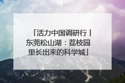 活力中国调研行丨东莞松山湖：荔枝园里长出来的科学城
