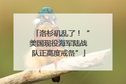 洛杉矶乱了！“美国现役海军陆战队正高度戒备”