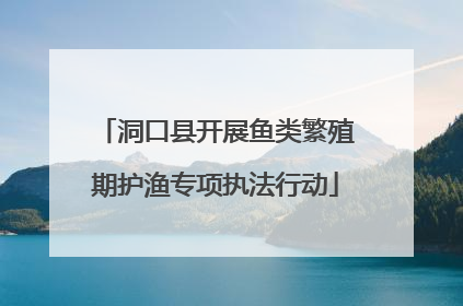 洞口县开展鱼类繁殖期护渔专项执法行动
