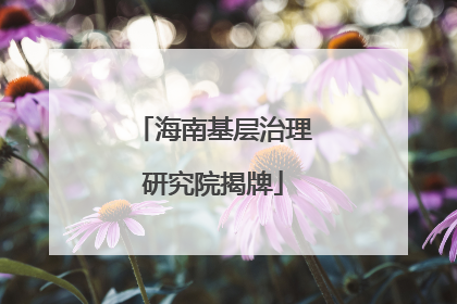 海南基层治理研究院揭牌