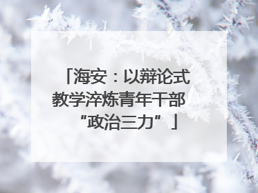 海安：以辩论式教学淬炼青年干部“政治三力”