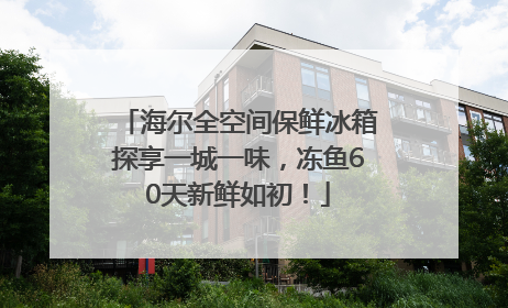 海尔全空间保鲜冰箱探享一城一味，冻鱼60天新鲜如初！