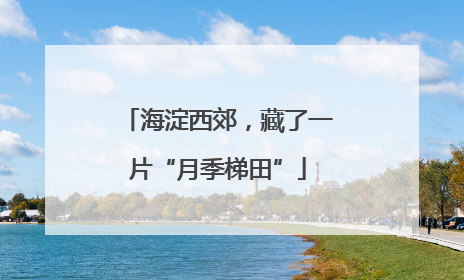 海淀西郊，藏了一片“月季梯田”