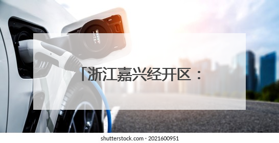 浙江嘉兴经开区：“统战+”为基层治理注入青春动力