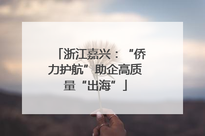 浙江嘉兴：“侨力护航”助企高质量“出海”