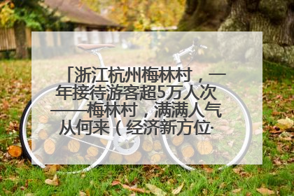 浙江杭州梅林村，一年接待游客超5万人次——梅林村，满满人气从何来（经济新方位·农村消费观察）
