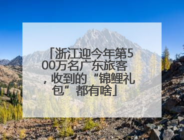 浙江迎今年第500万名广东旅客，收到的“锦鲤礼包”都有啥