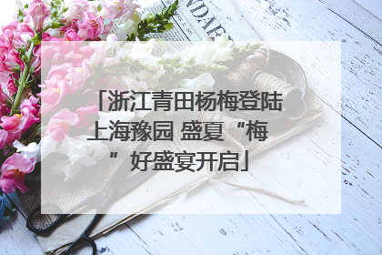 浙江青田杨梅登陆上海豫园 盛夏“梅”好盛宴开启