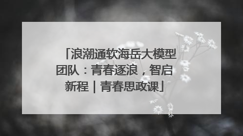 浪潮通软海岳大模型团队：青春逐浪，智启新程｜青春思政课