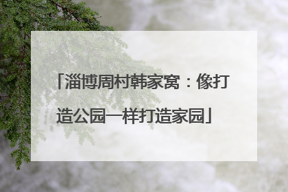 淄博周村韩家窝：像打造公园一样打造家园