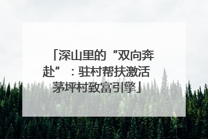 深山里的“双向奔赴”：驻村帮扶激活茅坪村致富引擎
