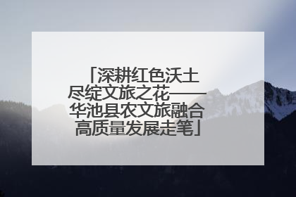 深耕红色沃土 尽绽文旅之花——华池县农文旅融合高质量发展走笔