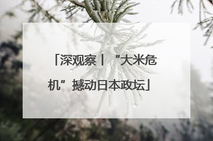 深观察丨“大米危机”撼动日本政坛