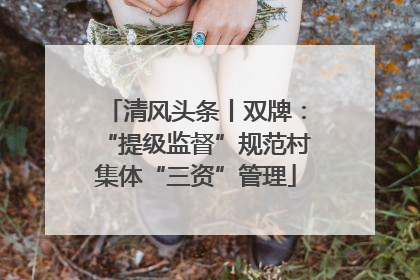 清风头条丨双牌：“提级监督”规范村集体“三资”管理