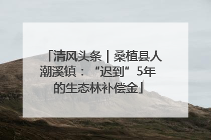 清风头条｜桑植县人潮溪镇：“迟到”5年的生态林补偿金