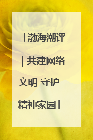 渤海潮评｜共建网络文明 守护精神家园