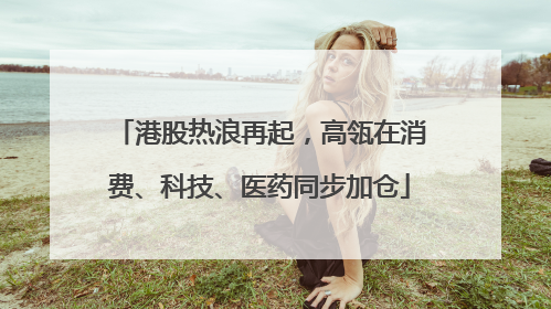 港股热浪再起，高瓴在消费、科技、医药同步加仓