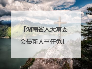 湖南省人大常委会最新人事任免