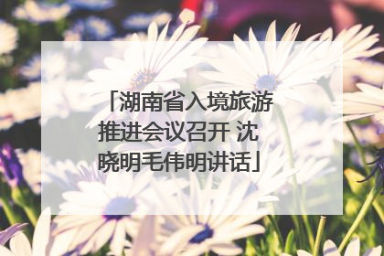 湖南省入境旅游推进会议召开 沈晓明毛伟明讲话