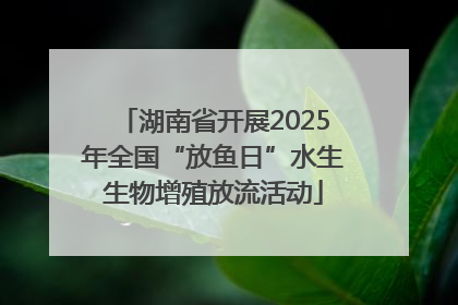 湖南省开展2025年全国“放鱼日”水生生物增殖放流活动