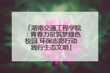 湖南交通工程学院：青春力量筑梦绿色校园 环保志愿行动践行生态文明